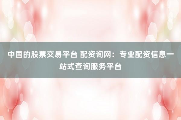中国的股票交易平台 配资询网：专业配资信息一站式查询服务平台