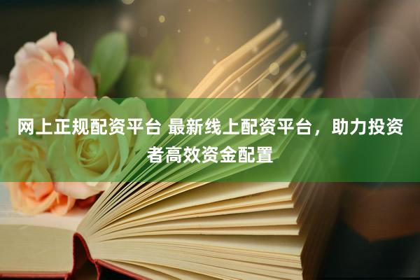 网上正规配资平台 最新线上配资平台，助力投资者高效资金配置