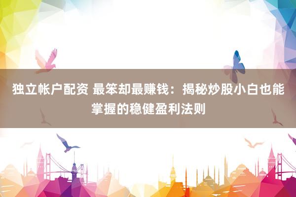 独立帐户配资 最笨却最赚钱：揭秘炒股小白也能掌握的稳健盈利法则
