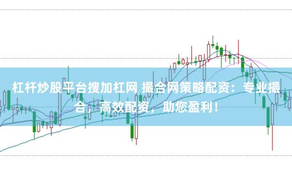 杠杆炒股平台搜加杠网 撮合网策略配资：专业撮合，高效配资，助您盈利！
