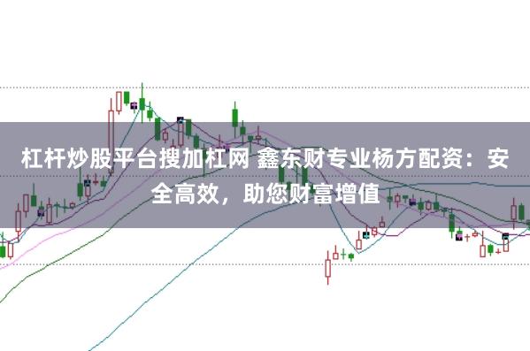 杠杆炒股平台搜加杠网 鑫东财专业杨方配资：安全高效，助您财富增值