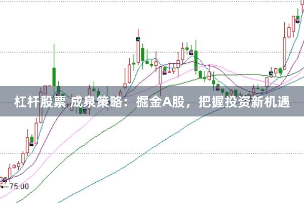 杠杆股票 成泉策略：掘金A股，把握投资新机遇