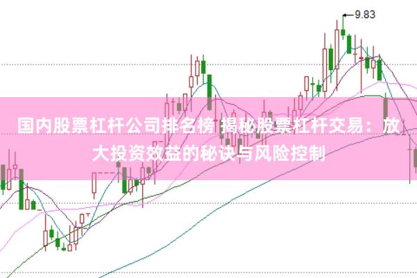 国内股票杠杆公司排名榜 揭秘股票杠杆交易：放大投资效益的秘诀与风险控制