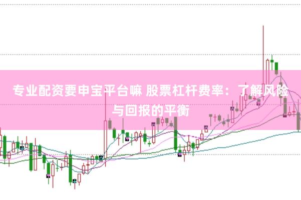 专业配资要申宝平台嘛 股票杠杆费率：了解风险与回报的平衡
