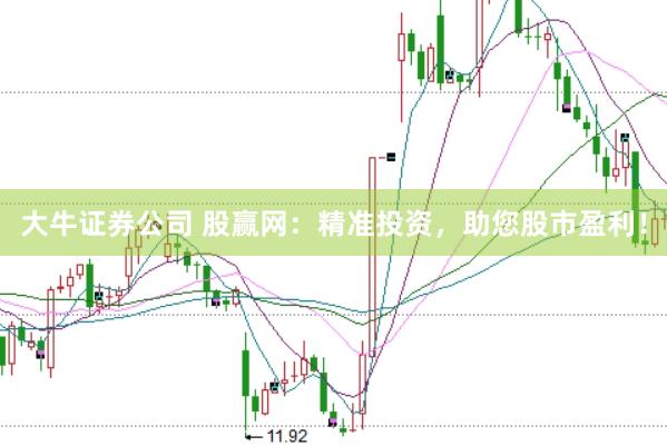 大牛证券公司 股赢网：精准投资，助您股市盈利！