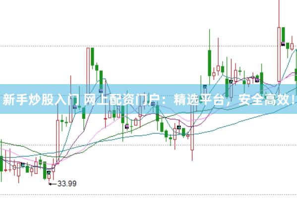 新手炒股入门 网上配资门户：精选平台，安全高效！