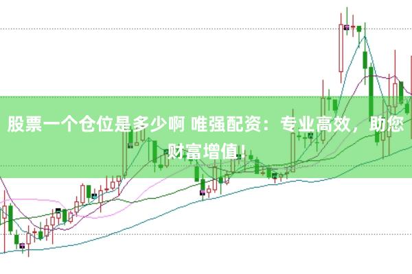 股票一个仓位是多少啊 唯强配资：专业高效，助您财富增值！