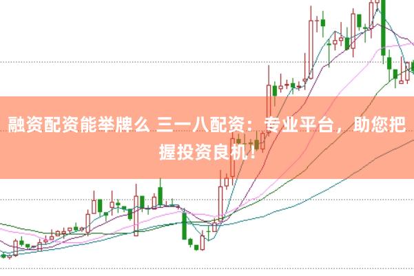 融资配资能举牌么 三一八配资：专业平台，助您把握投资良机！