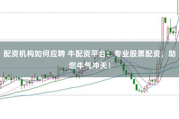配资机构如何应聘 牛配资平台：专业股票配资，助您牛气冲天！
