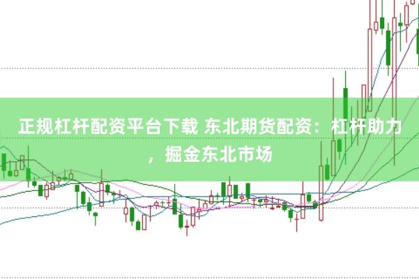 正规杠杆配资平台下载 东北期货配资：杠杆助力，掘金东北市场
