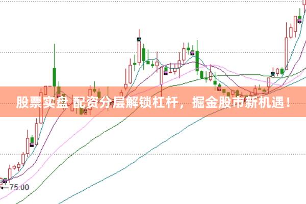 股票实盘 配资分层解锁杠杆，掘金股市新机遇！