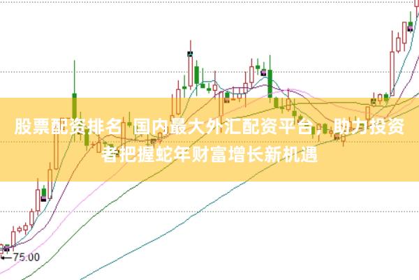 股票配资排名  国内最大外汇配资平台，助力投资者把握蛇年财富增长新机遇