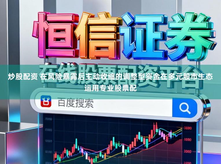 炒股配资 在风险暴露后主动收缩的调整型资金在多元股市生态运用专业股票配